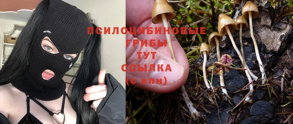 a pvp Арсеньев