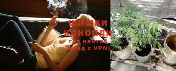 PSILOCYBIN Снежинск