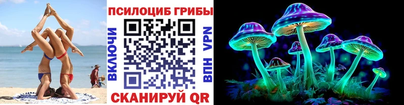 закладки  Козельск  Галлюциногенные грибы прущие грибы 